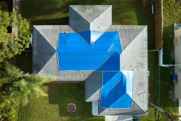 Best Roof Insulation Installation  in Monument, CO