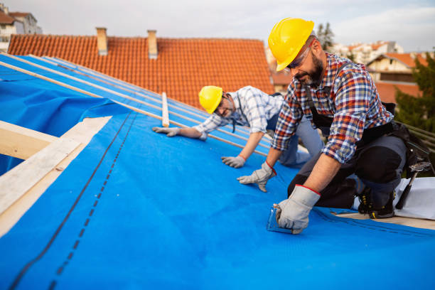 Best Chimney Flashing Repair  in Monument, CO